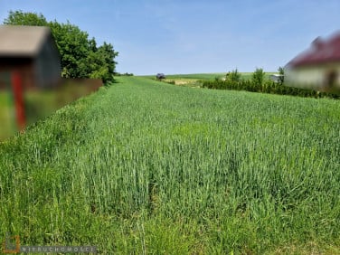 Działka inwestycyjna Wola Więcławska