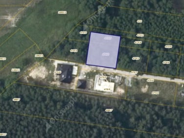 Działka leśna Zagórze