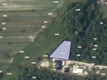 Działka leśna Zagórze