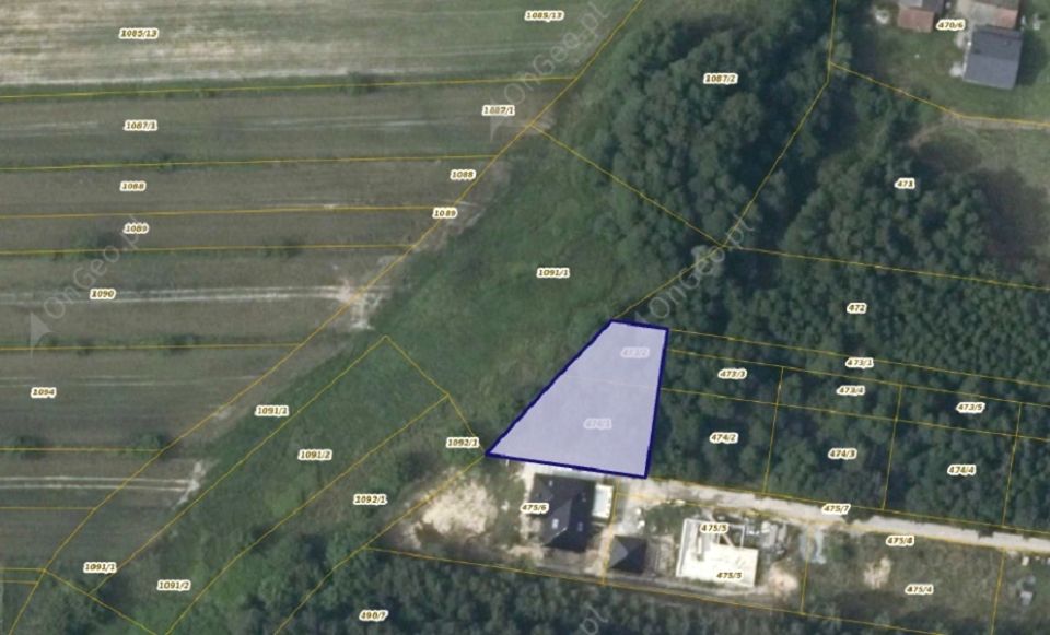 Działka leśna Zagórze