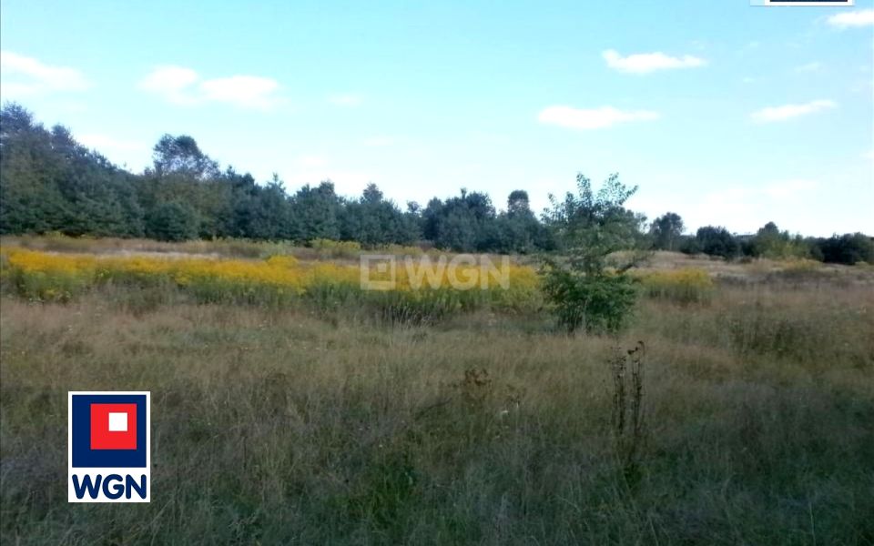 Działka siedliskowa Częstochowa