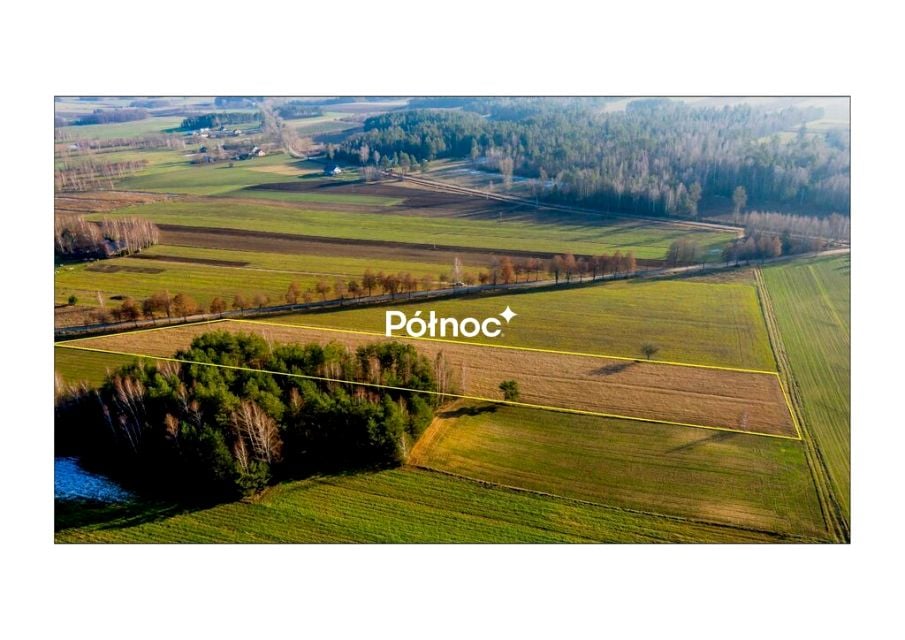 Zdjęcie 3