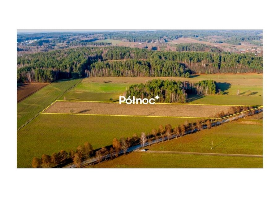 Zdjęcie 2