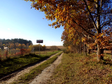 Działka budowlana Machowino