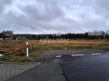 Działka Budy Głogowskie