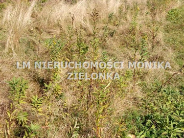 Pusta działka Stanowice