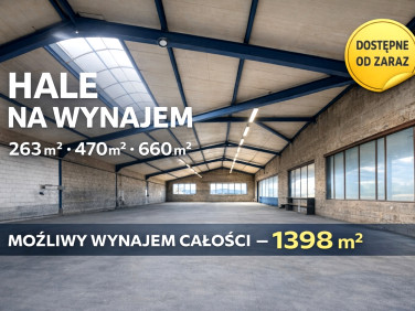 Budynek użytkowy Mrągowo wynajem