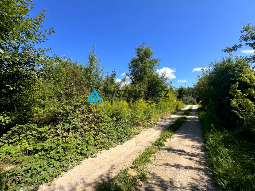 Działka budowlana Przyjaźń