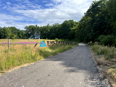 Działka budowlana Pępowo