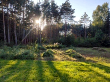 Działka budowlana Budy Mszczonowskie