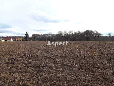 Działka rolna Pielgrzymowice