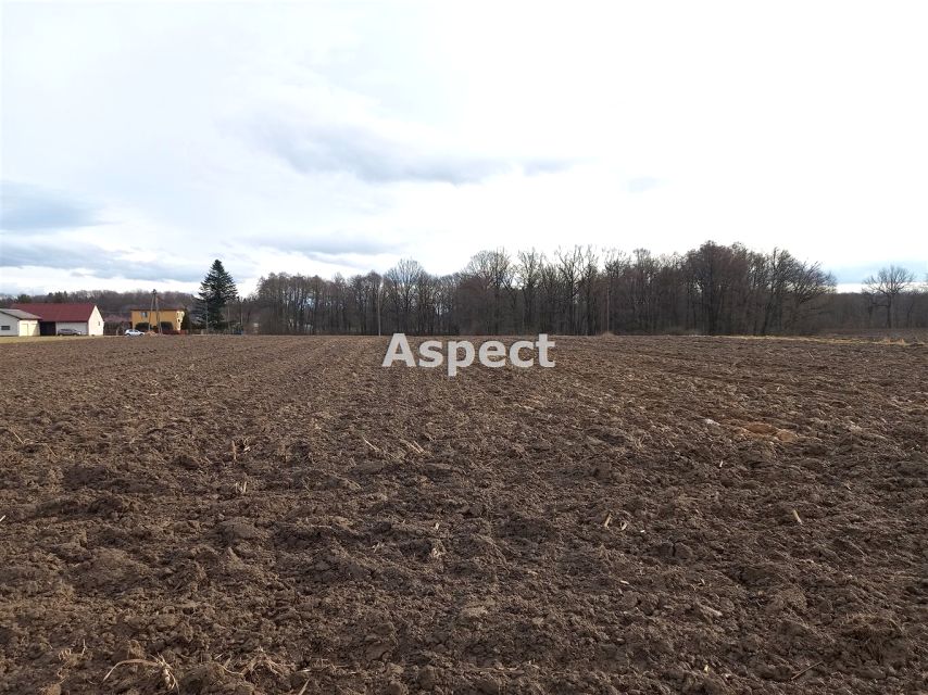 Działka rolna Pielgrzymowice