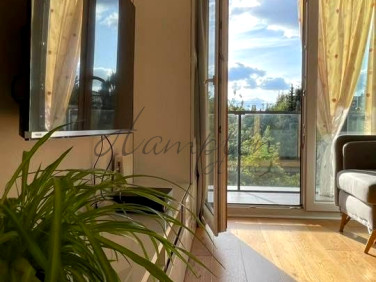 Mieszkanie blok mieszkalny wynajem