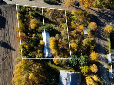 Działka budowlana Dąbrowa