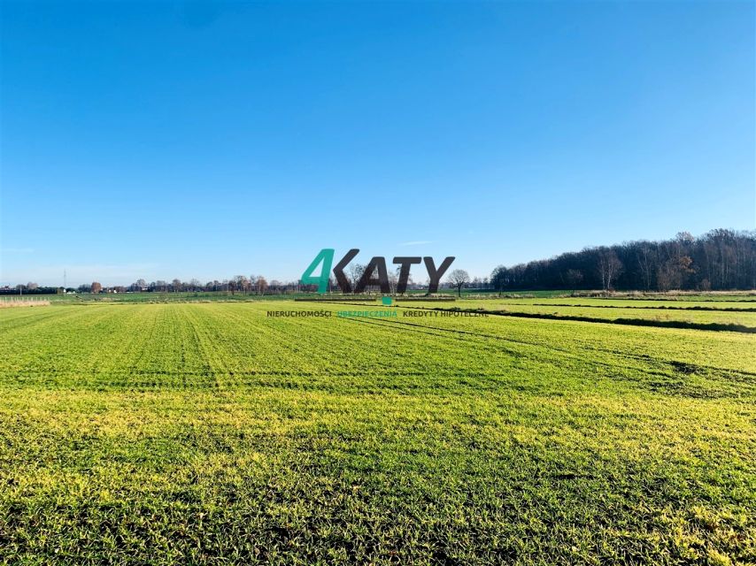 Działka budowlana Pszczyna