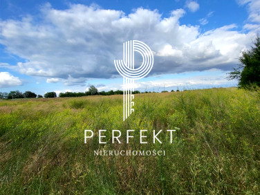 Pusta działka Wełtyń