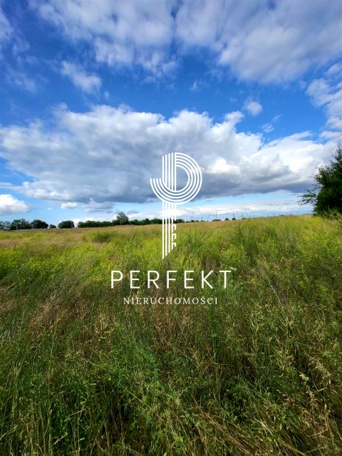 Pusta działka Wełtyń