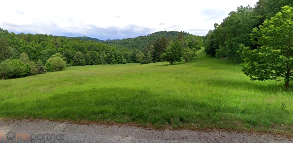 Działka budowlana Wilcza