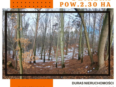 Działka rolno-leśna Łoniowa