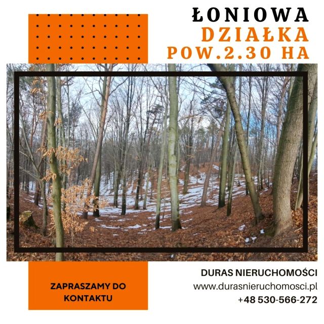 Działka rolno-leśna Łoniowa