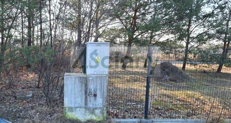 Zdjęcie 3