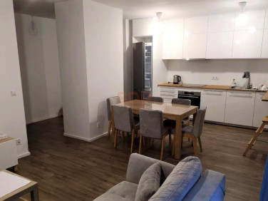 Mieszkanie Wrocław wynajem