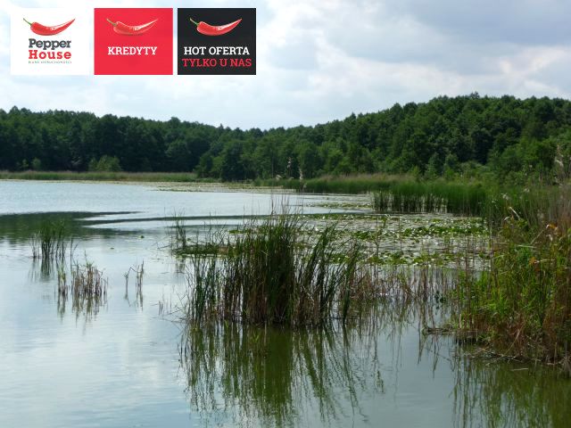 Działka rolna Ciechocin