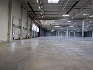 Budynek użytkowy Głuchowo