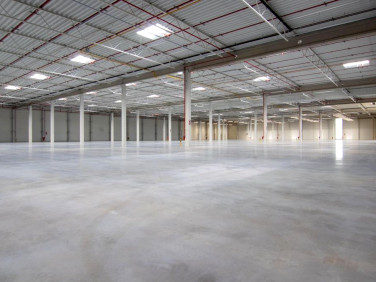 Budynek użytkowy Robakowo