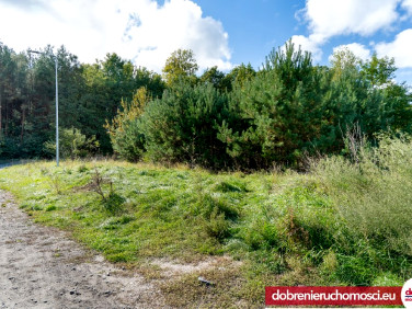 Działka budowlana Łochowo