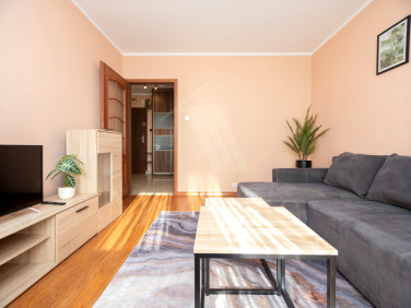 Mieszkanie blok mieszkalny wynajem