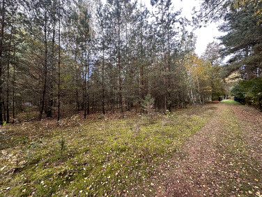 Działka budowlana Kwiatkowice