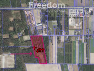 Działka leśna Horbów-Kolonia