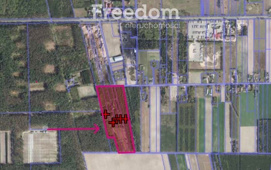 Działka leśna Horbów-Kolonia