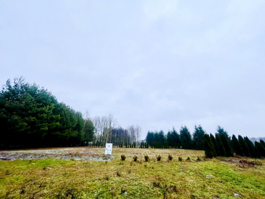 Pusta działka Cyganka