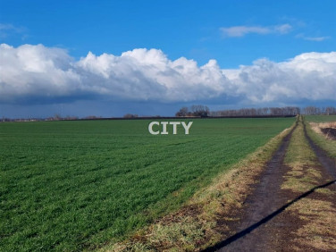 Działka siedliskowa Węgry