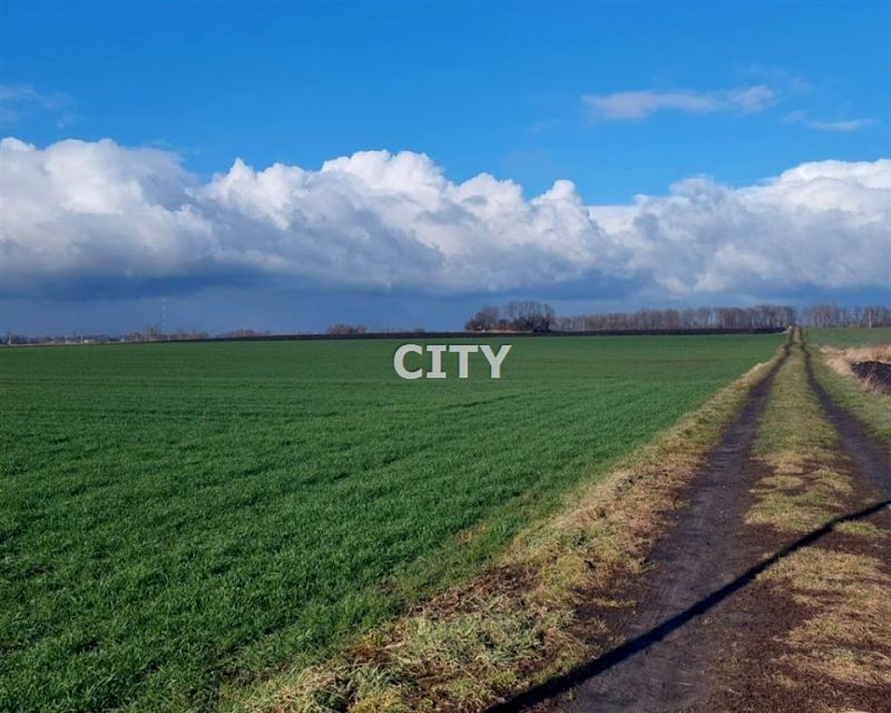 Działka siedliskowa Węgry