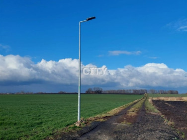 Działka siedliskowa Węgry sprzedam