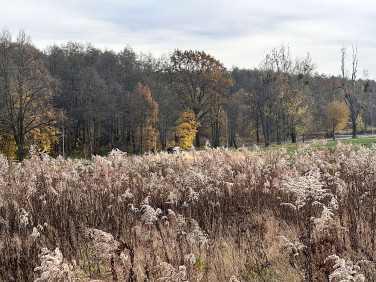 Działka budowlana Byszewy