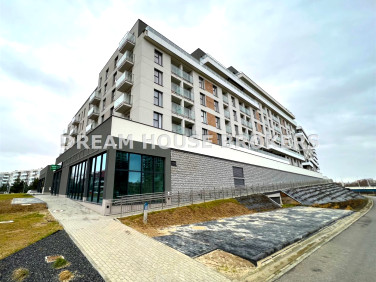 Lokal Rzeszów wynajem