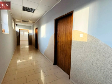 Lokal Kamienna Góra