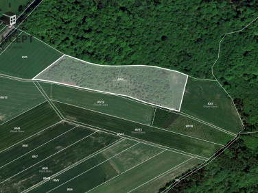 Działka rolna Rząsiny