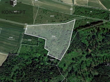 Działka rolna Rząsiny