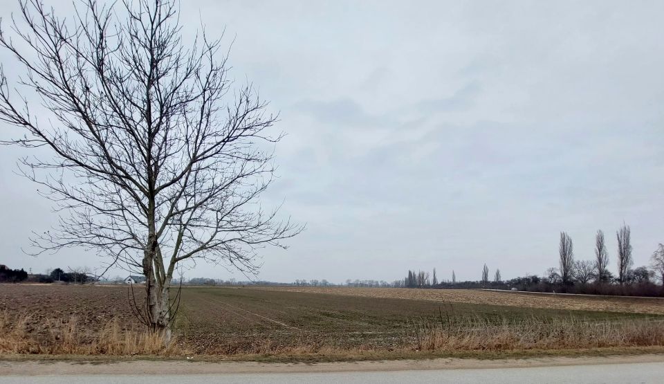 Działka usługowa Szczawin