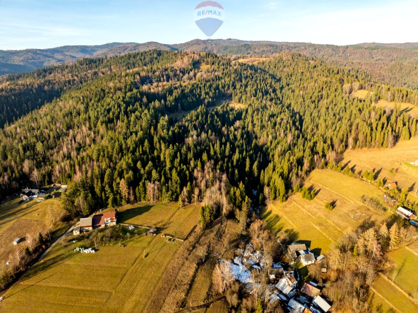 Działka leśna Harklowa