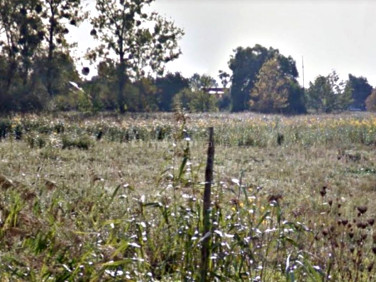 Działka budowlana Koninko