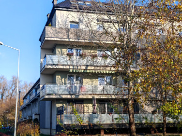 Mieszkanie Oleśnica