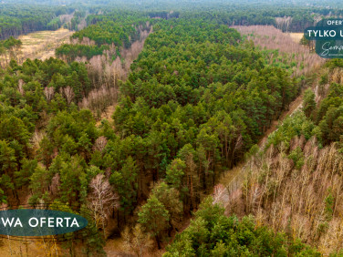 Działka leśna Szczerców