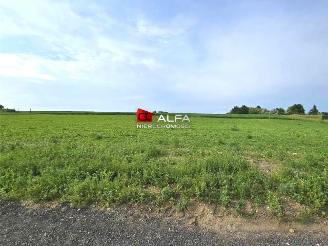 Działka budowlana Mrowiny