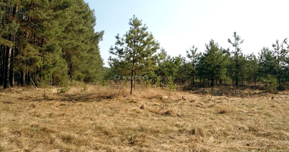 Działka budowlana Nowa Dąbrowa